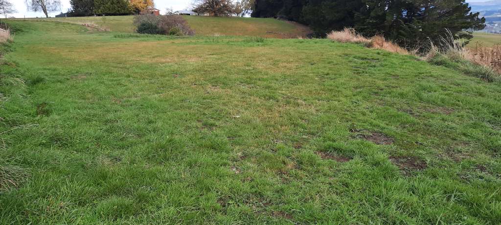 100万人民币在新西兰,100万在新西兰能买到什么车