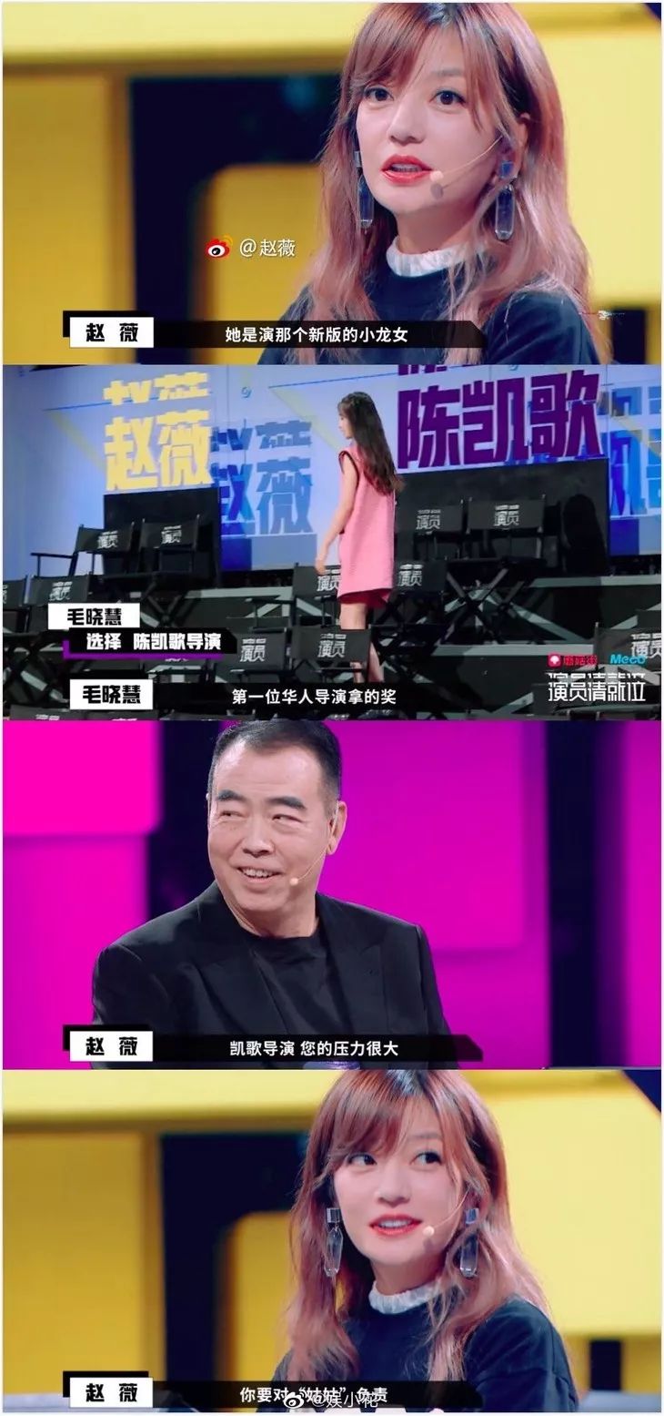 赵薇为啥演小燕子,赵薇演过什么节目