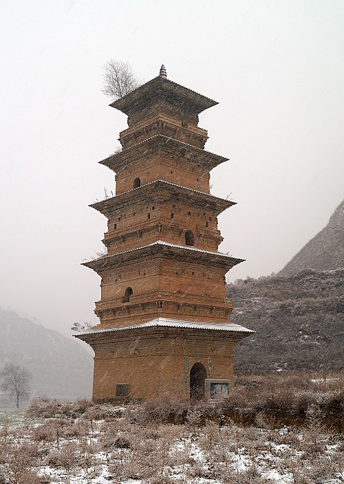 庆阳自然保护区,甘肃省有几个自然保护地