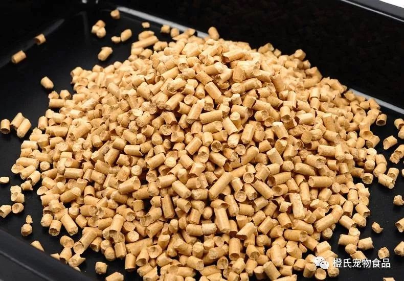 猫砂到底买哪种比较好 (选择哪款猫砂)