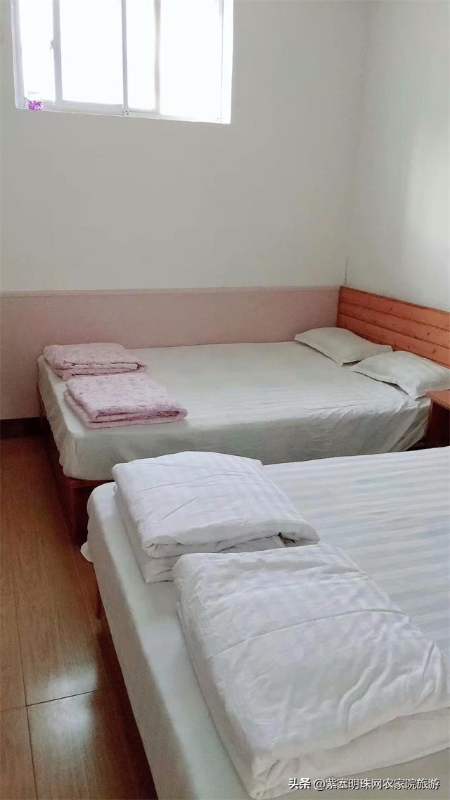 日照直播,日照索隆