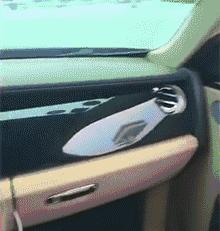 “是小蛇出了轨，还是青蛙劈了腿？”这是现实版的美杜莎？哈哈