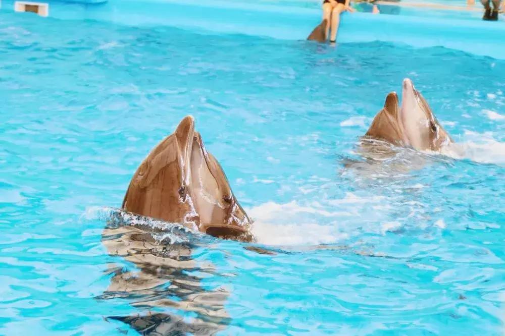 普吉岛7天6晚,普吉岛6天5晚高品质纯玩