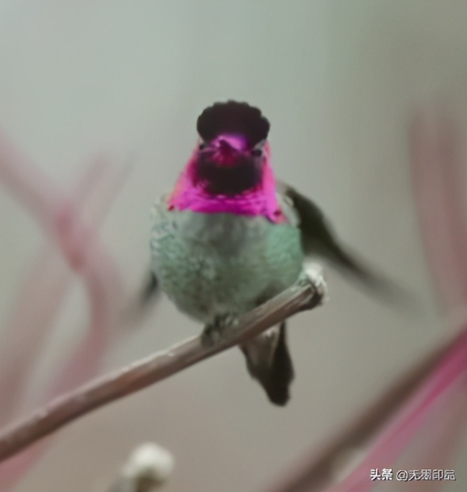 光栅的结构特征,光栅的特性分析与应用