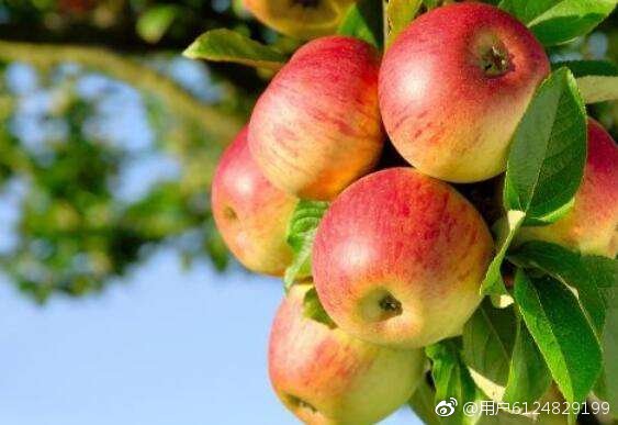 有趣的汉字读音相同,奇妙的汉字多音多义