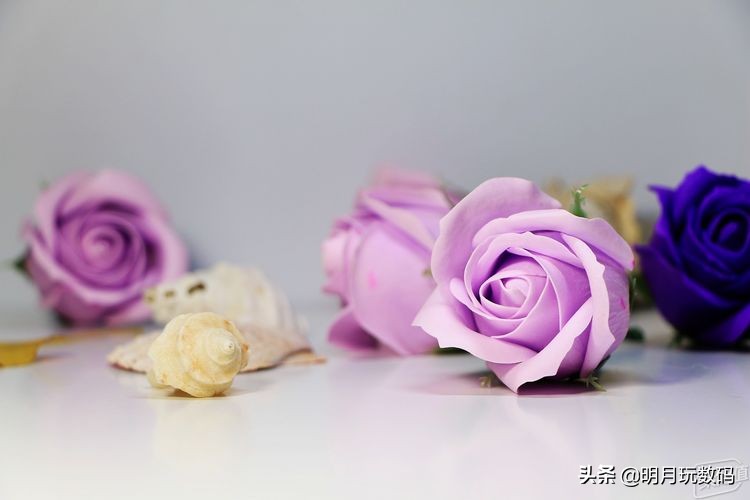 UV镜头保护镜,uv镜头和保护镜哪个好