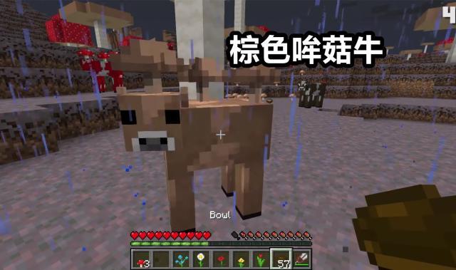 我的世界mc最震撼生物,我的世界mc最稀有骑士竟是熊猫