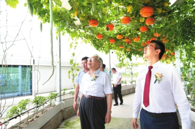 万达新建商业规划,万达广场项目升级计划