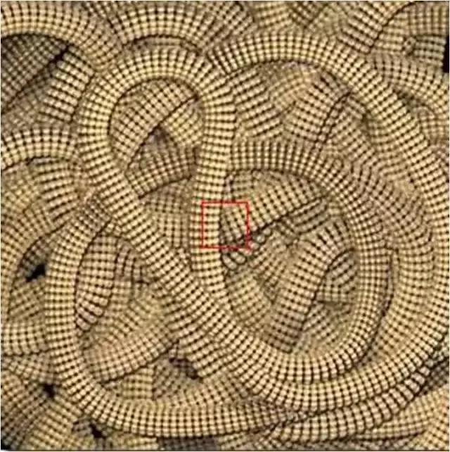 色即是空：这些图片看完后你还有什么想不通？