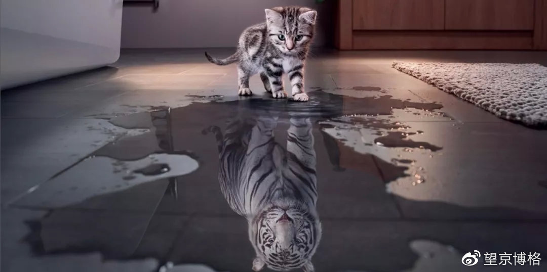 上证指数失真是在熊市的哪个阶段,上证指数严重失真原因