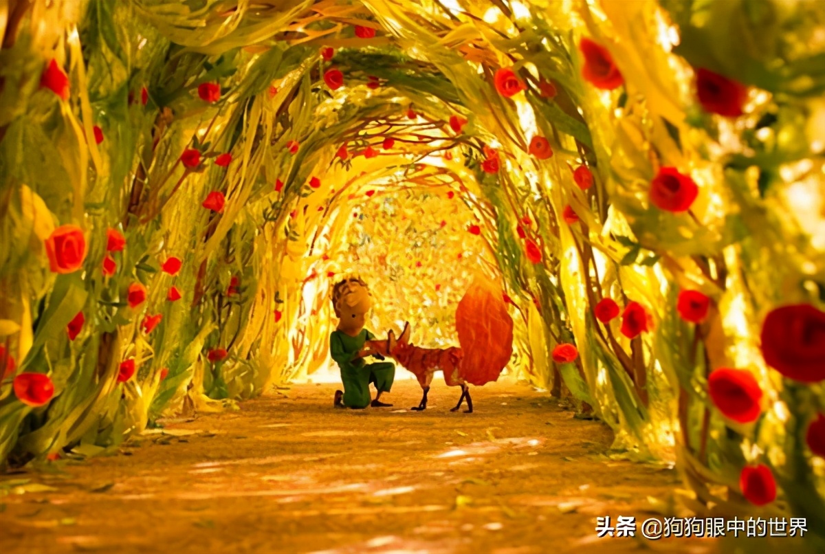 流浪狗治愈抑郁症,没想到自己竟然得了重度抑郁症