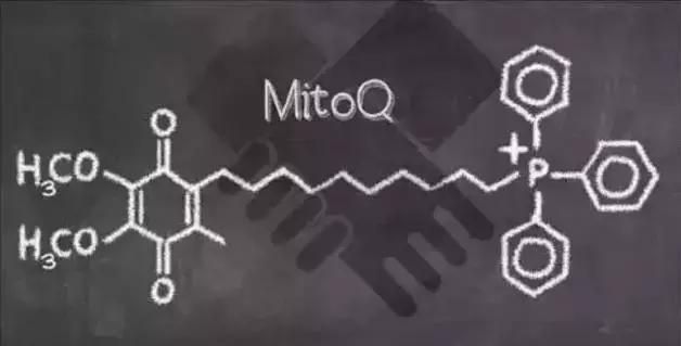 「种草001」来自新西兰的黑科技化妆品！还在用面膜补水么？