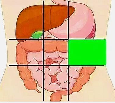 肚子上腹的位置疼什么原因,中下腹肚子痛是什么原因