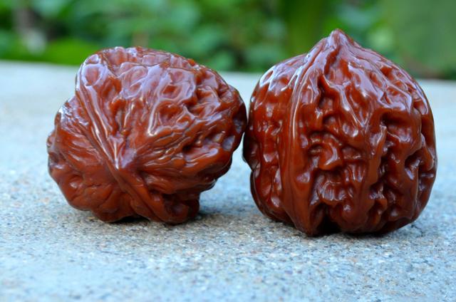 玩核桃先了解产地，这几个产地的核桃千万不可错过