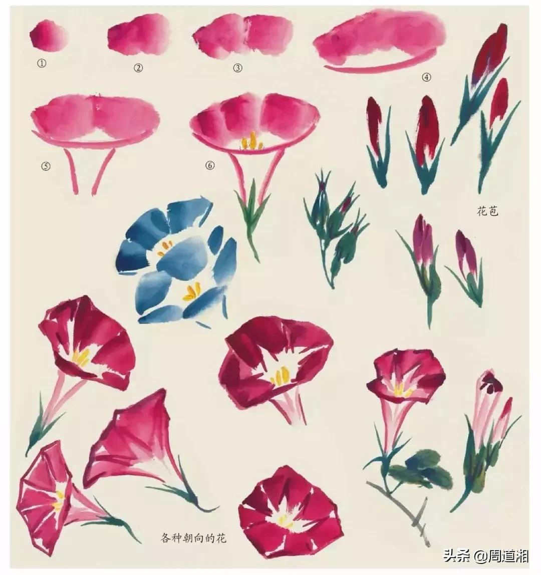 国画花卉大全教程视频,花卉小品国画图片大全