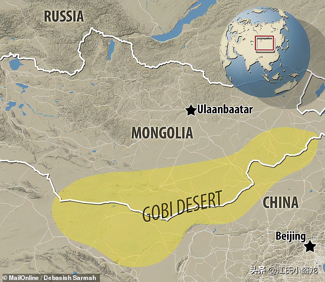 化石带有羽毛的恐龙到底是谁,随着化石而确定恐龙的样子
