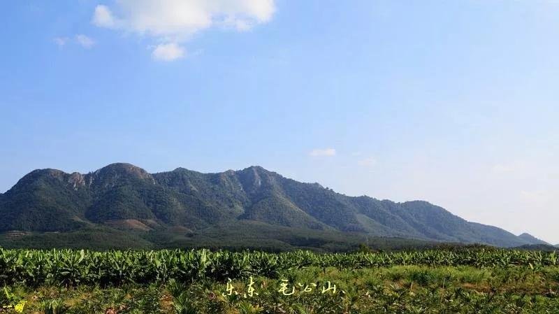 海南自贸港的全景,海南自贸港最新信息乐东