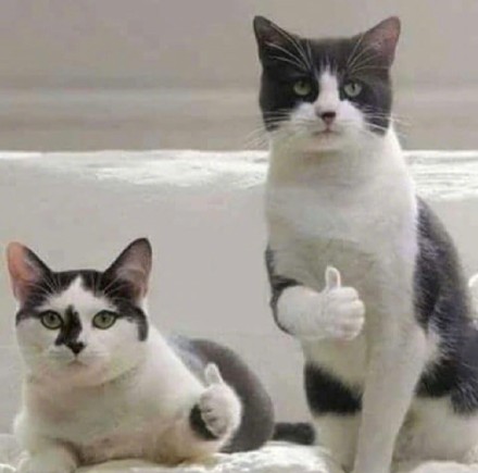 手机版“P社”游戏测评，内容和质量竟好到肝上一周都停不下来