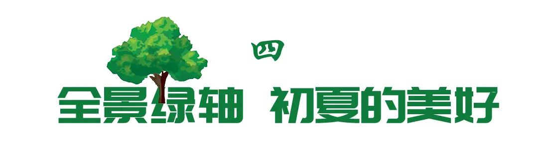 合肥政务区绿轴,绿轴公园合肥