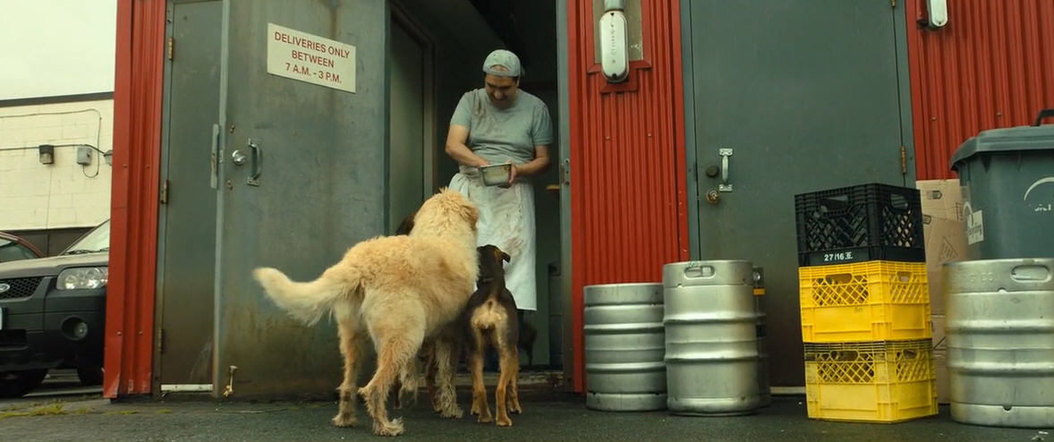 电影故事:一条小狗穿越四百英里回家的故事