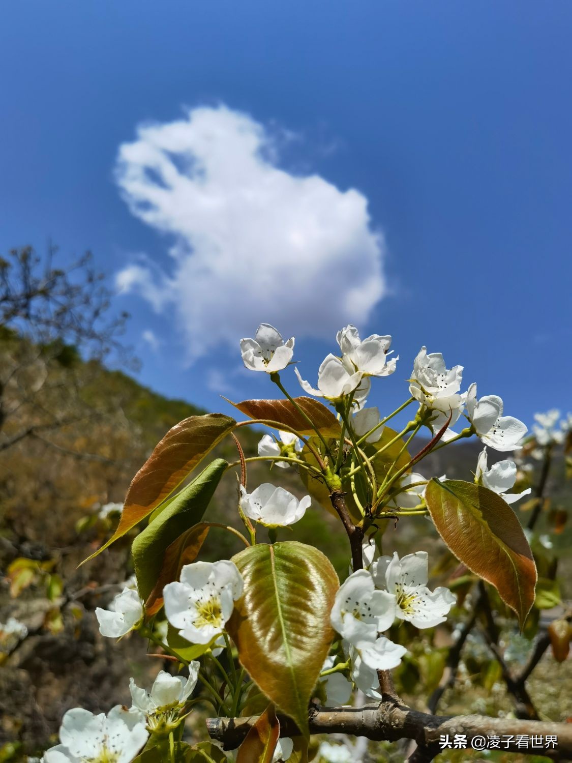 京郊响水湖旅游攻略,响水湖长城一日游感受