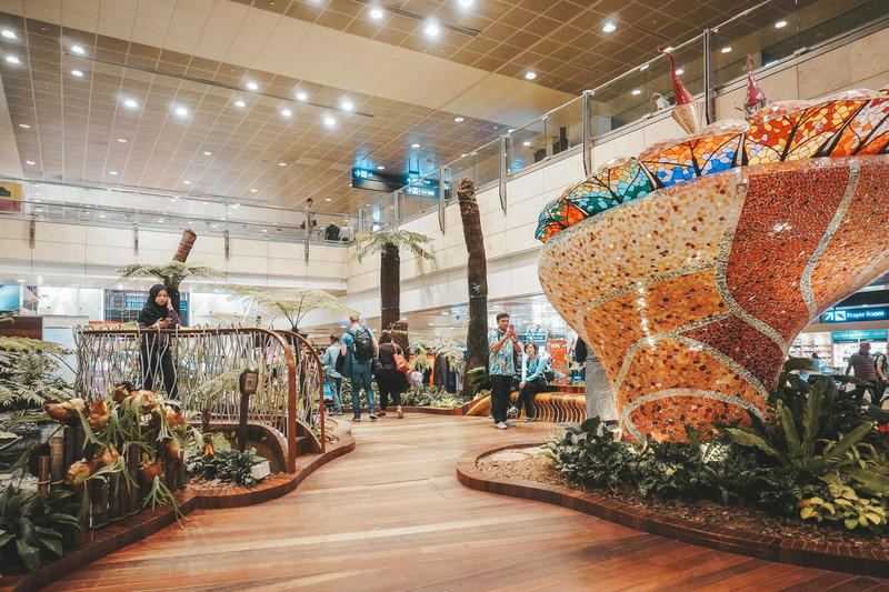 一人一猫环游,一人一猫旅行