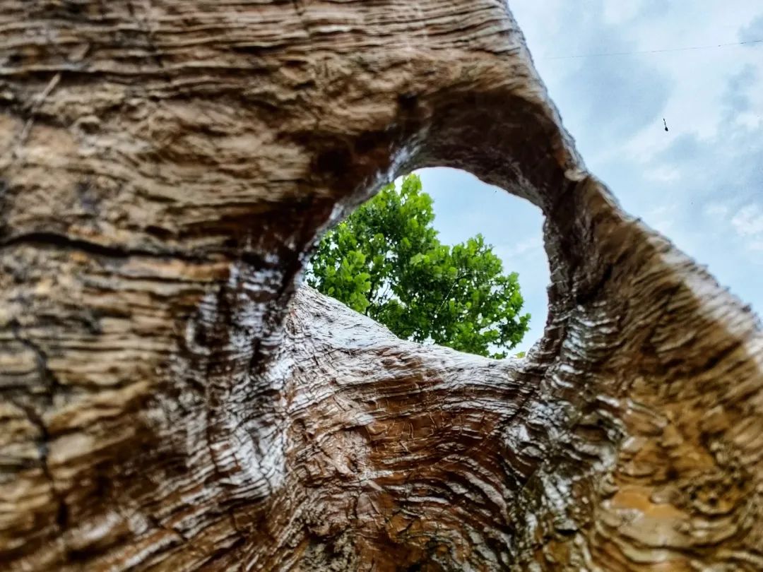 大连金石园奇石名称,大连市金石园