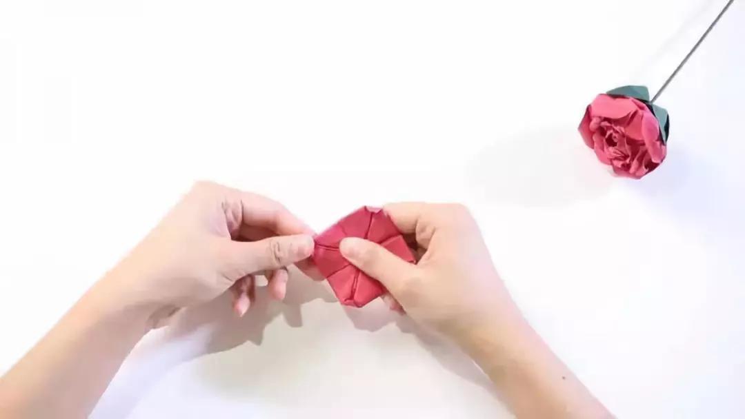 有颜色的玫瑰是怎么做出来的,白玫瑰怎么做七彩玫瑰