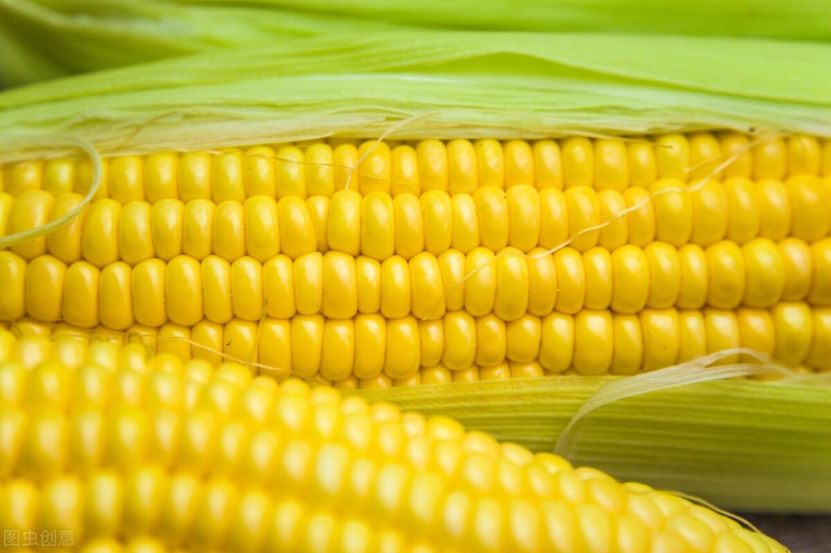 养胃的饮食方法大全,养胃日常怎么吃