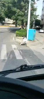 搞笑的冷笑话最好能笑死,非常搞笑的冷笑话大全