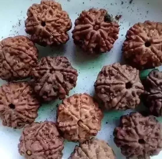 木质手串上的小虫子,手串里的小虫子