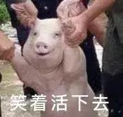 500块钱的名牌,5000左右的大牌