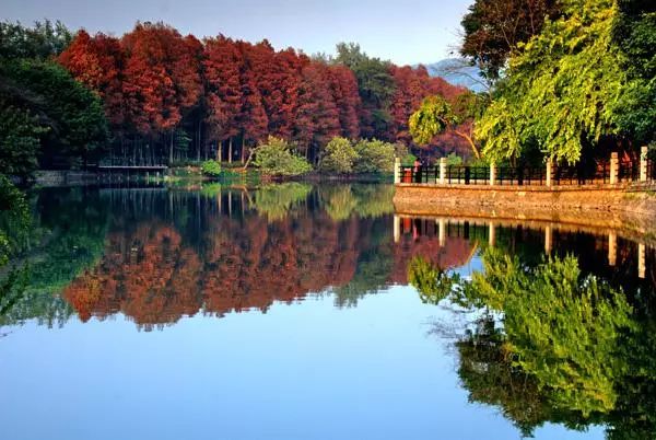 广州适合情侣旅游的景区推荐,广州情侣必去的旅游胜地