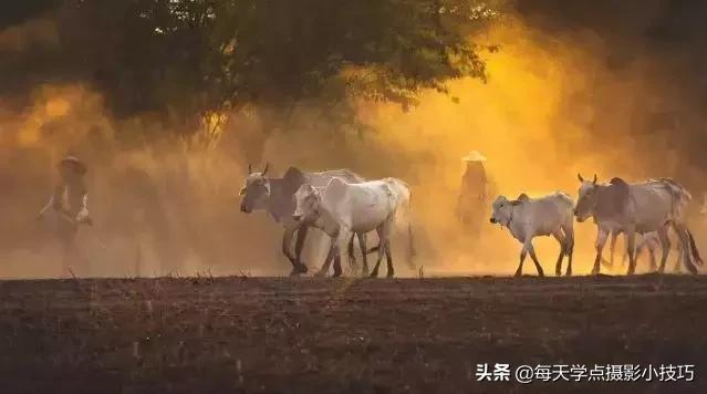 摄影小技巧风景相机,偏振镜在风光摄影中的使用技巧