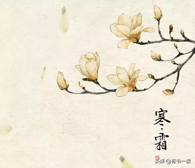 苏轼百读不厌,苏轼十首最经典诗词