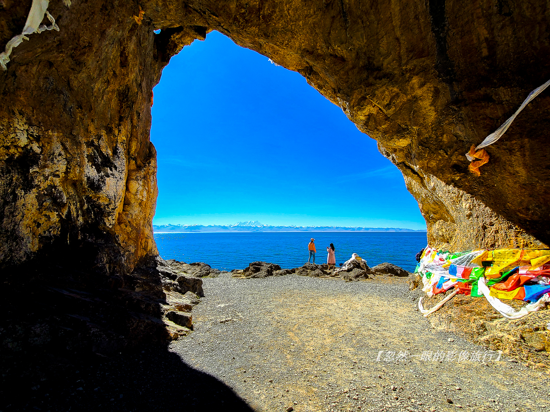 阿里无人区野狼出没,阿里无人区狐狸