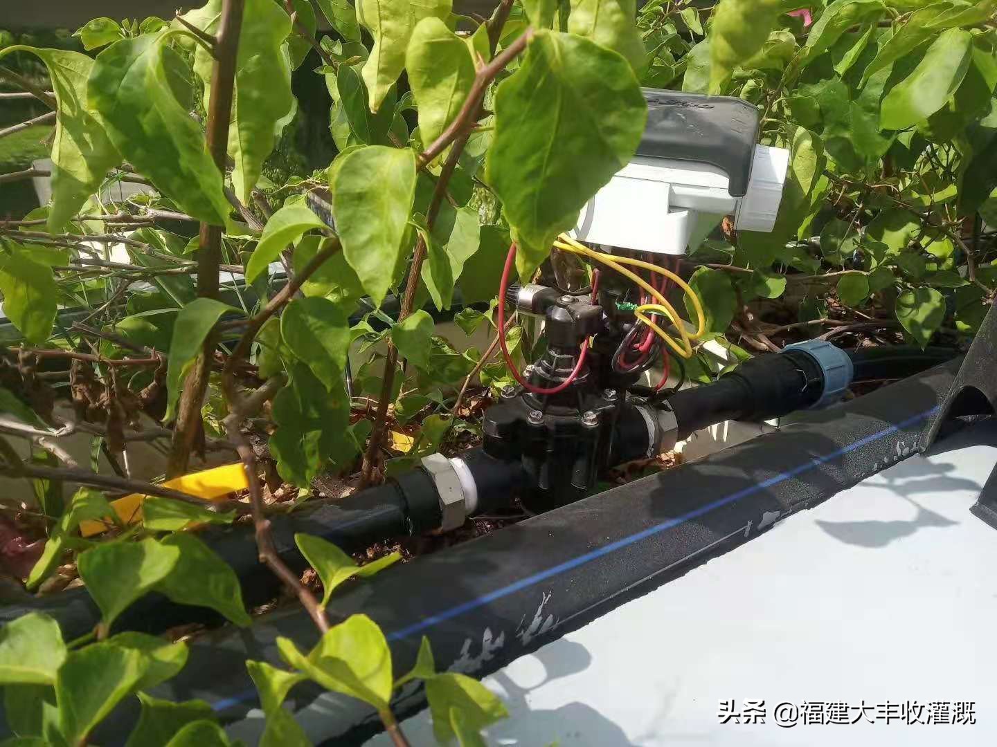 微喷注意事项,微喷带怎么使用