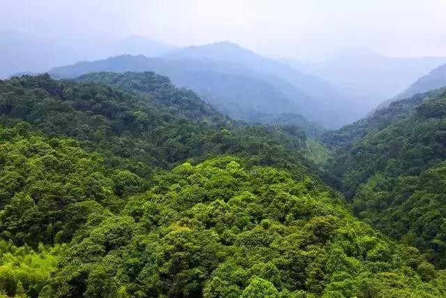 惠州龙门十大森林小镇,惠州南粤大氧旅游