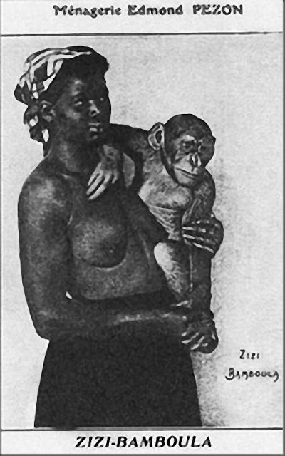 早期人类动物园,揭秘人类动物园