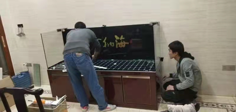 鱼缸搬家攻略视频,鱼缸搬家