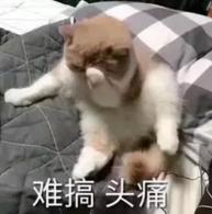 pr每天必学100个技巧打印版,常用打印技巧汇总