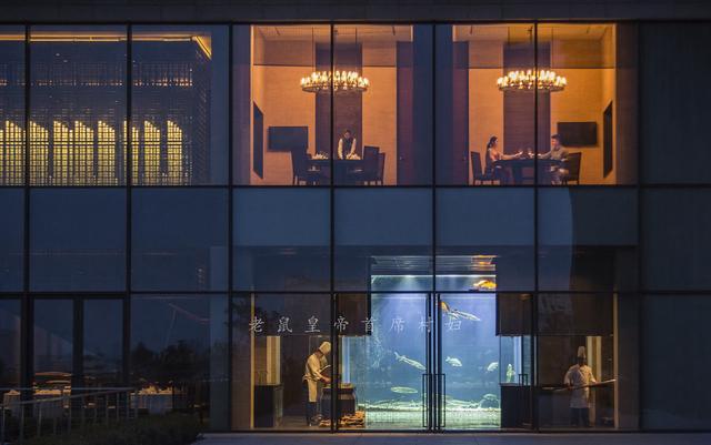 文创酒店设计费多少钱,文创主题酒店