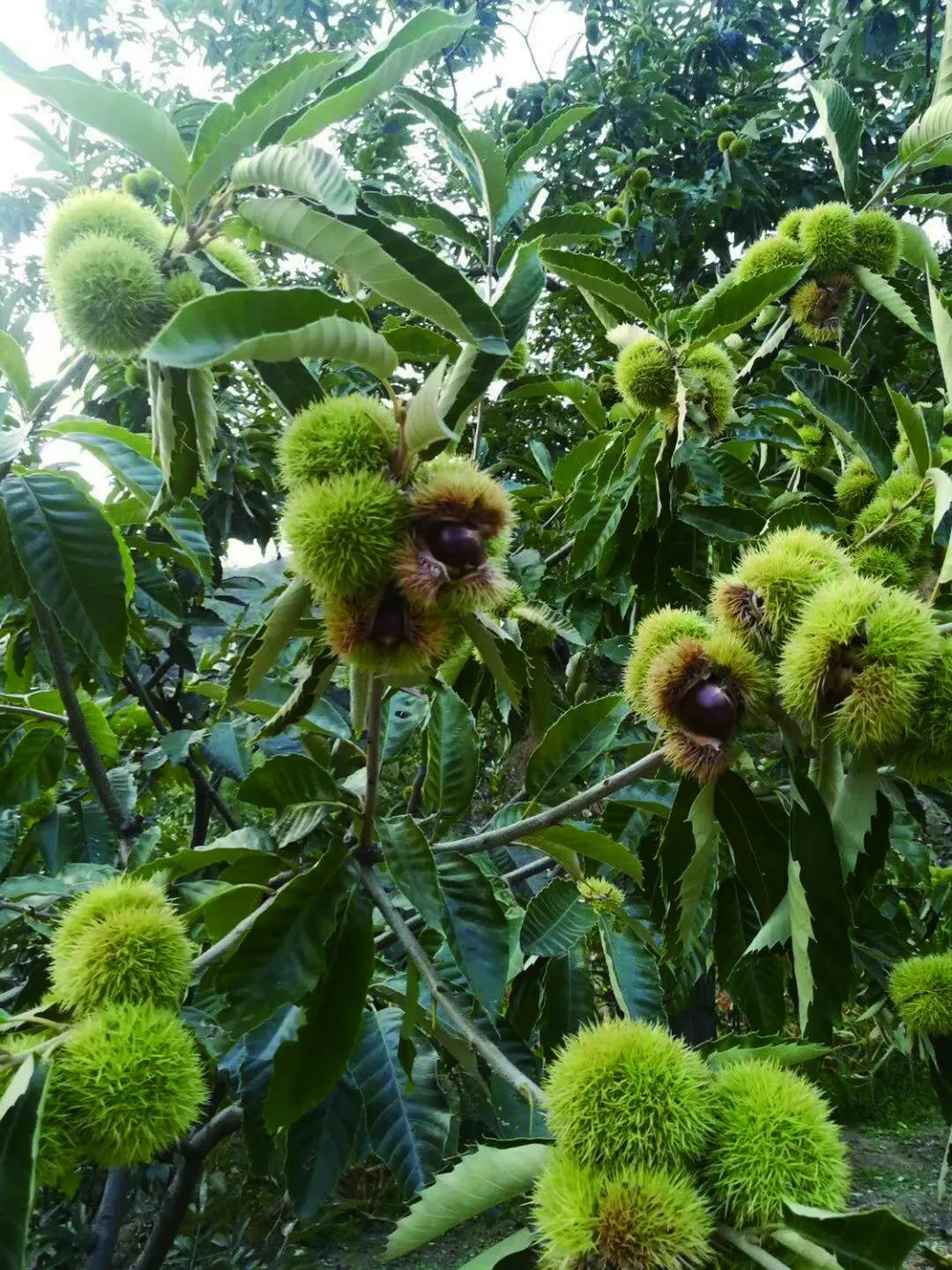 沈阳市新闻12月5日,沈阳新闻15日微博