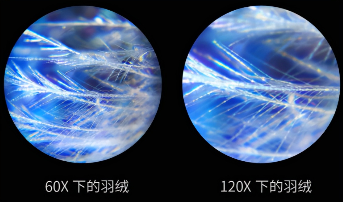 巴掌大的儿童显微镜，竟是NASA空间站望远镜的“弟弟”？