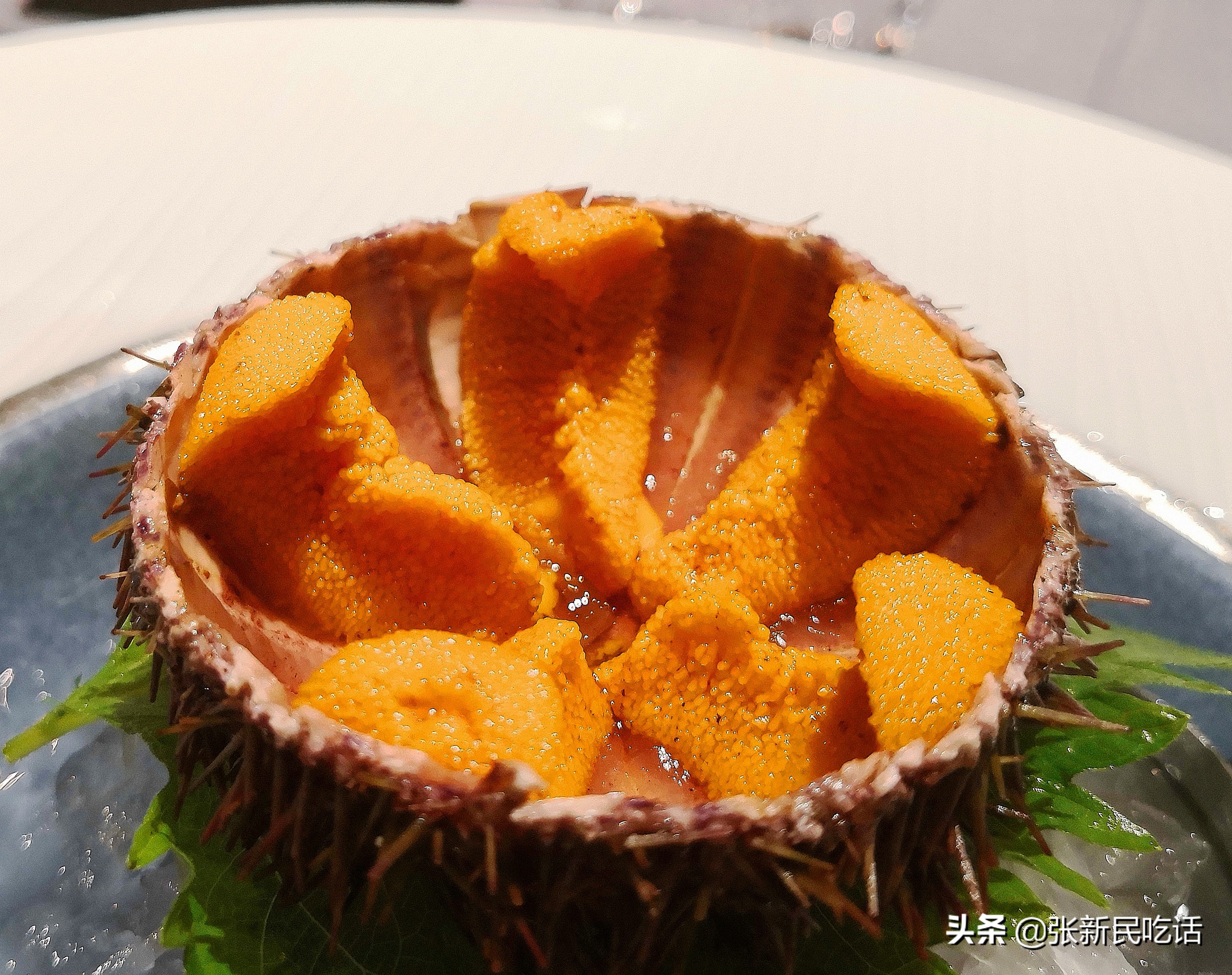 禁渔不禁欲：轩尼诗「荣家饭局」品鉴