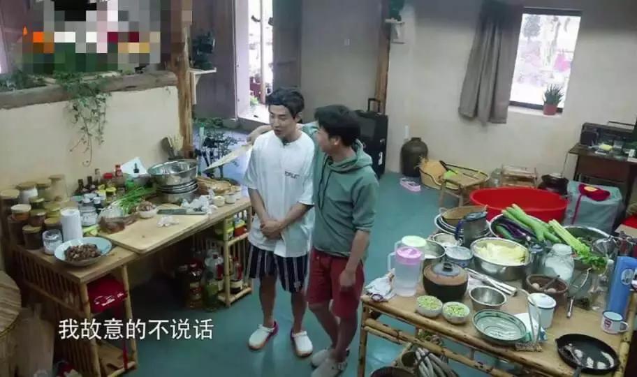 刘宪华退出向往的生活原因,刘宪华为什么退出向往的生活