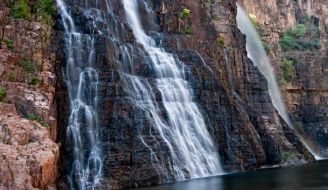 澳洲月薪10000澳币的工作,澳洲绿化工人工资