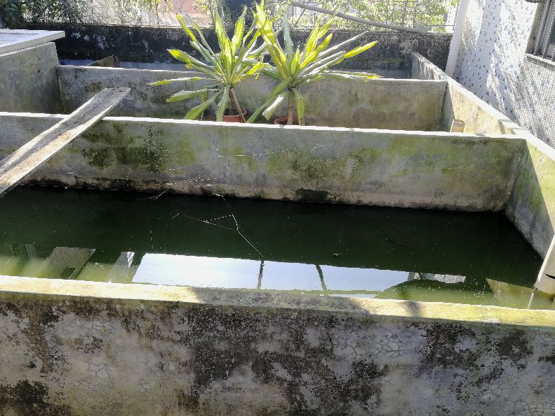 养龟人心路历程,养龟人的心路历程