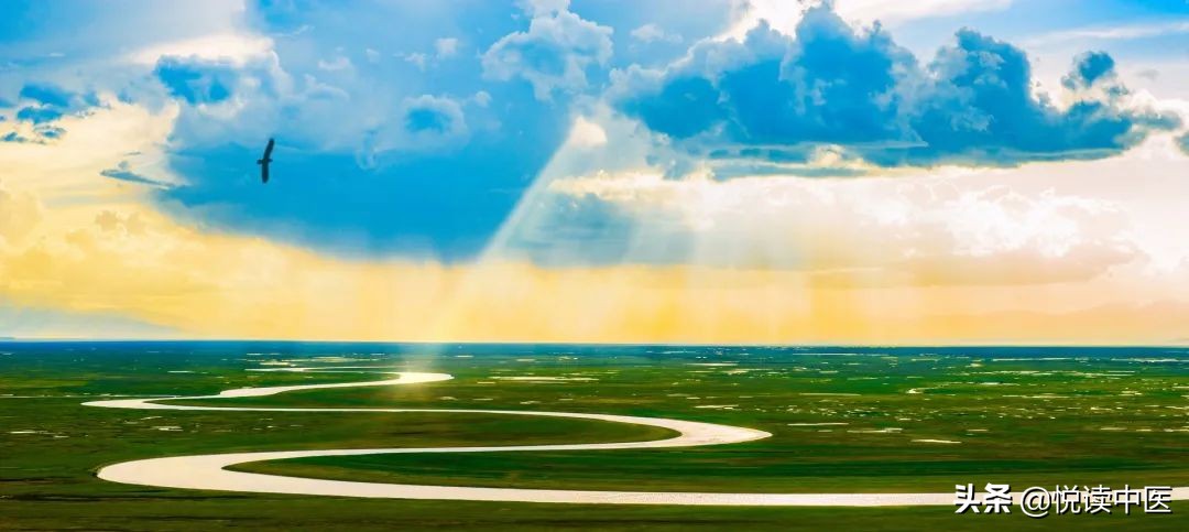 人体气和血是什么意思,人体的气和血