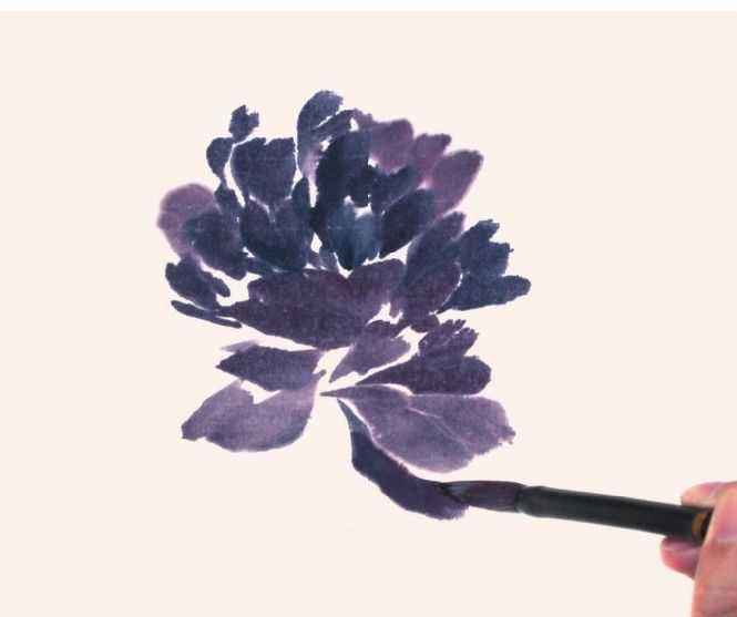 国画牡丹和石头的画法图片,初学国画牡丹花头画法图解